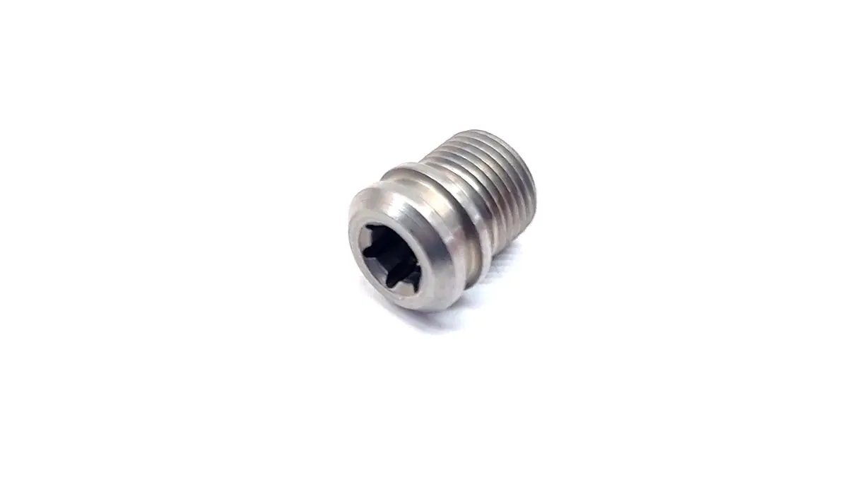 Drain Plug Final Drive 2005-2023 R1200/1250 K1600 1
