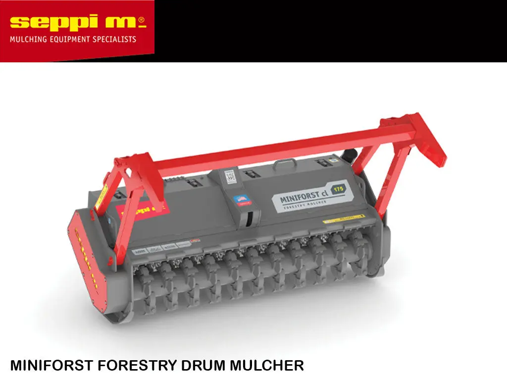 Seppi M Miniforst Cl 1