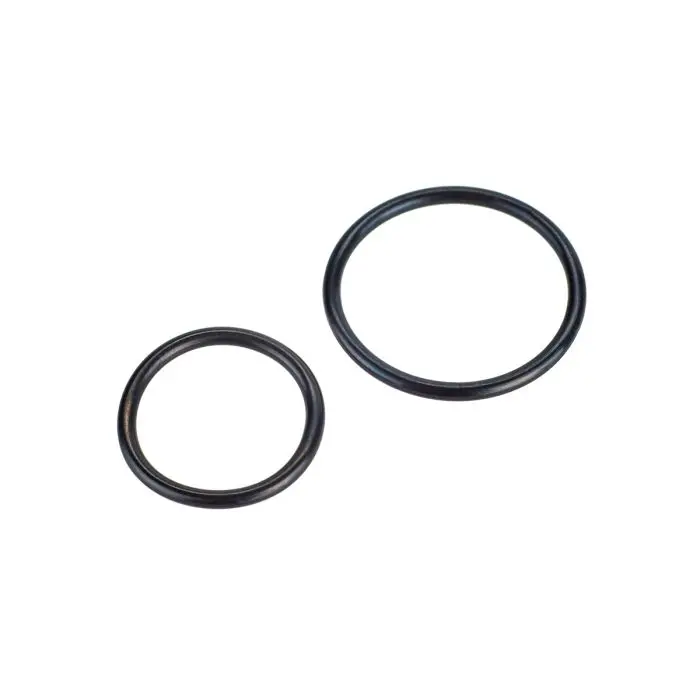 Rotor Set Of 2 O-Rings 1