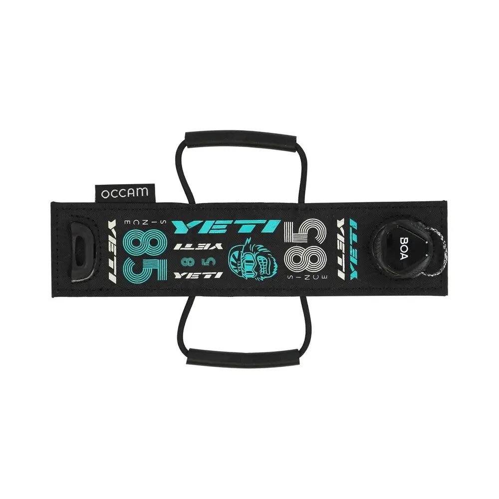 Apex Frame Strap 2