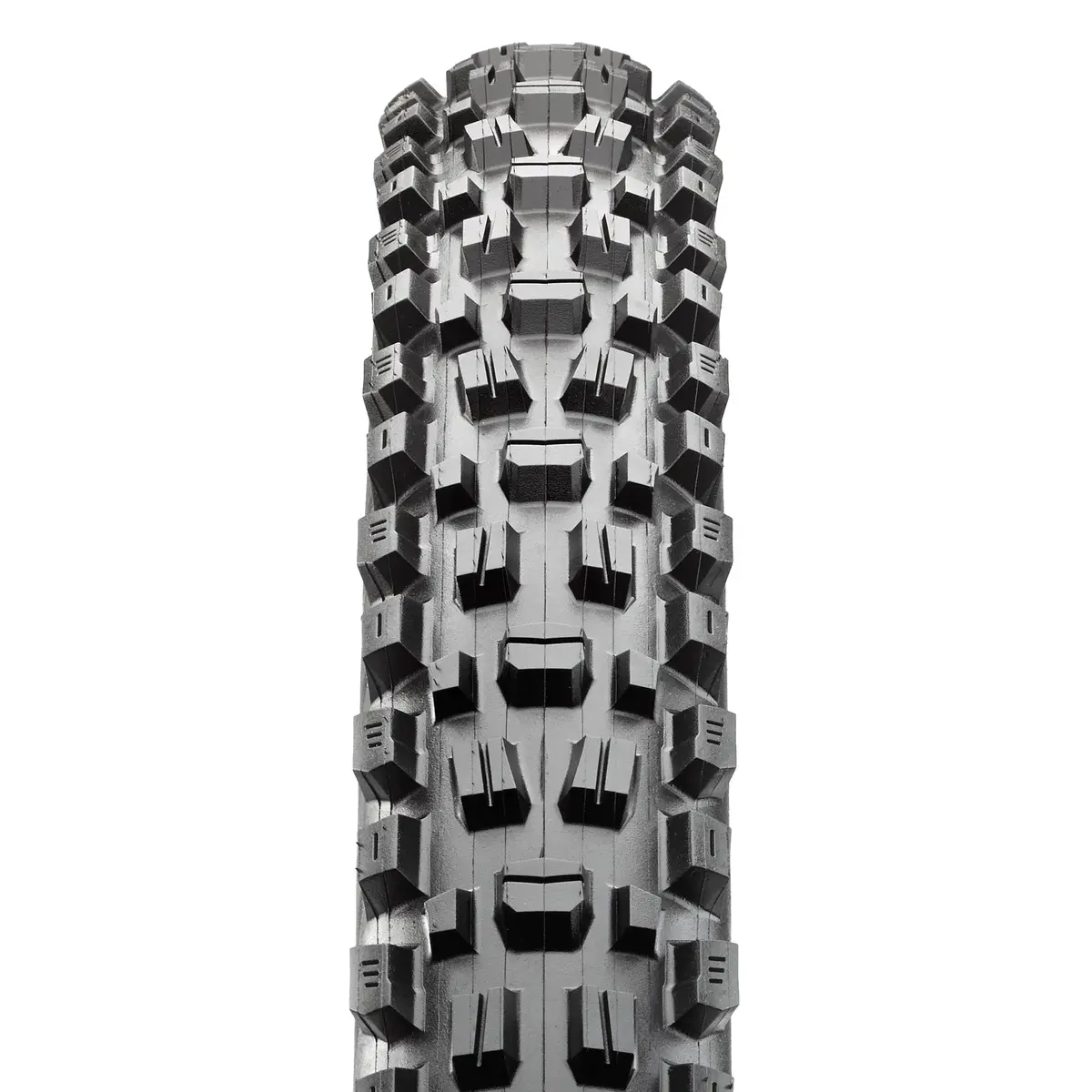 Maxxis Assegai Tire 3C Maxx Grip Terra Exo+ 29"X 2.5" Wt 1