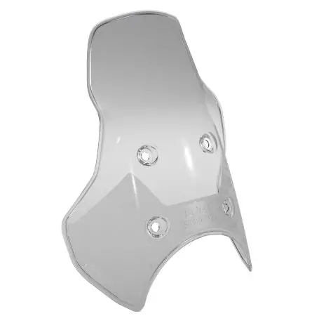 Adventure Screen For Himalayan 450 1