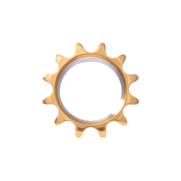 Eai Gold Medal Pro Cog 12T-17T 1