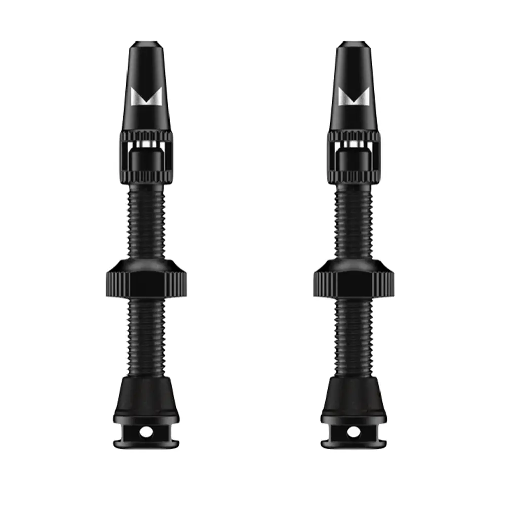 Evil Tubeless Valve 1