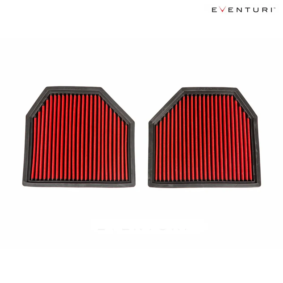 Eventuri Panel Filter Pair For Bmw F8x M3/M4 1