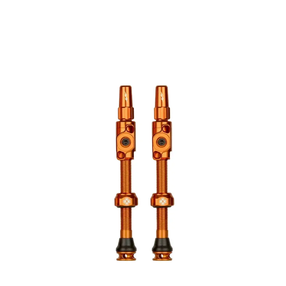 Big Bore Lite Tubeless Valves 2