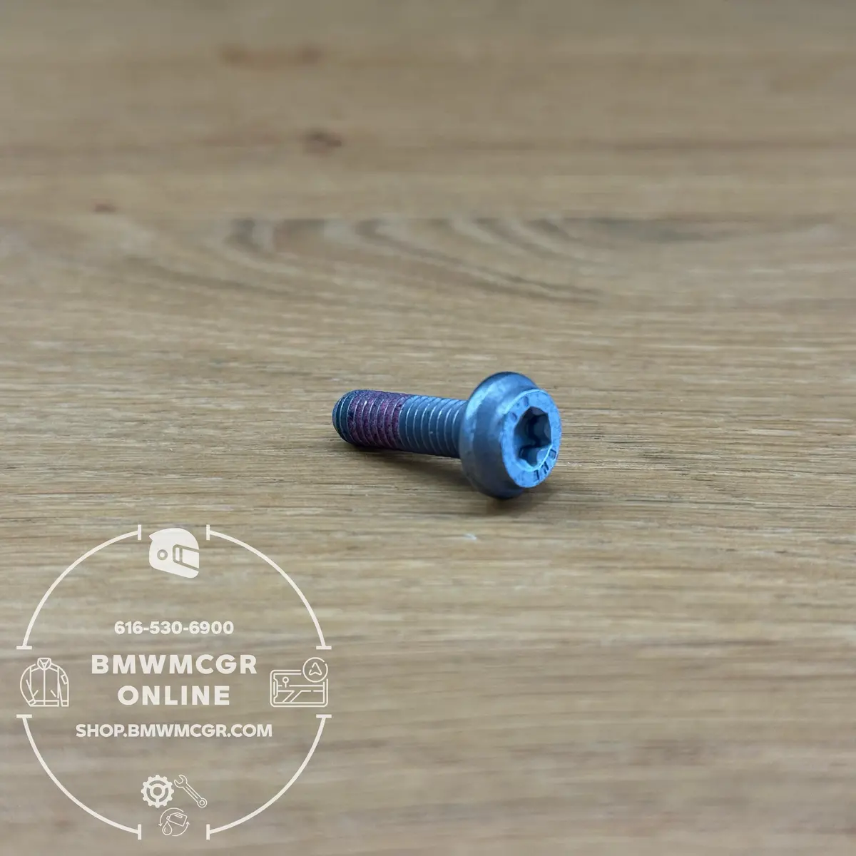 Fillister Head Screw T30 M6x20 1