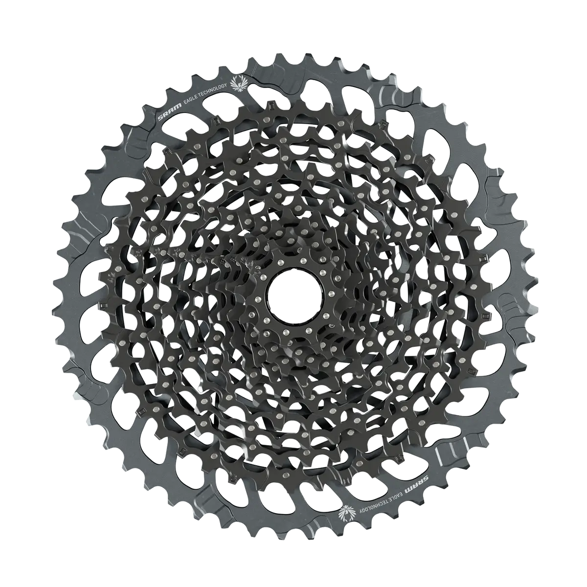 Gx Eagle Cassette 1