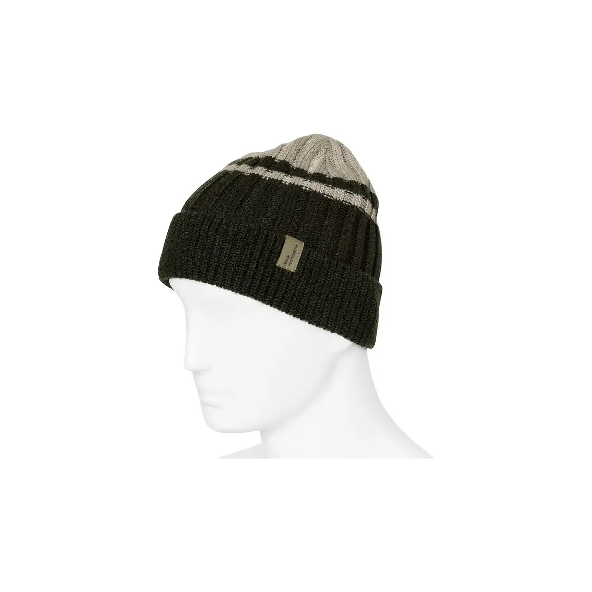 Bmw Merino Wool Gs Beanie Green 1