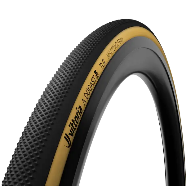 A Dugast Pipistrello Tubeless-Ready 1