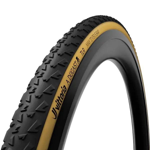 A Dugast Rhino Tubeless-Ready 1