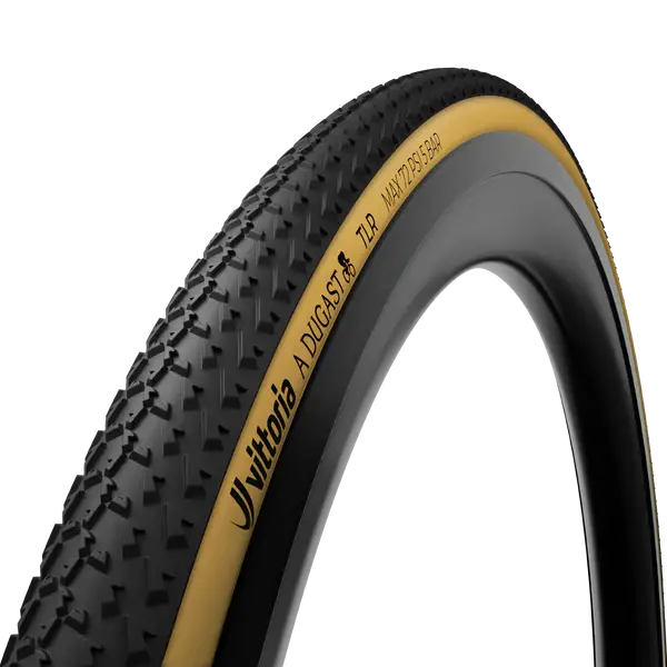 A Dugast Small Bird Tubeless-Ready 1