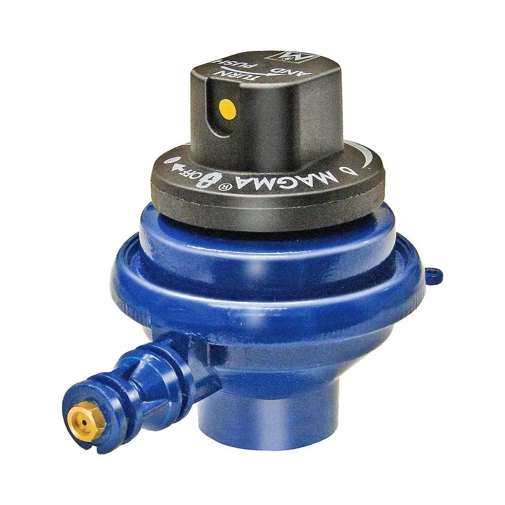 Magma Type 1 Control Valve / Regulator 1